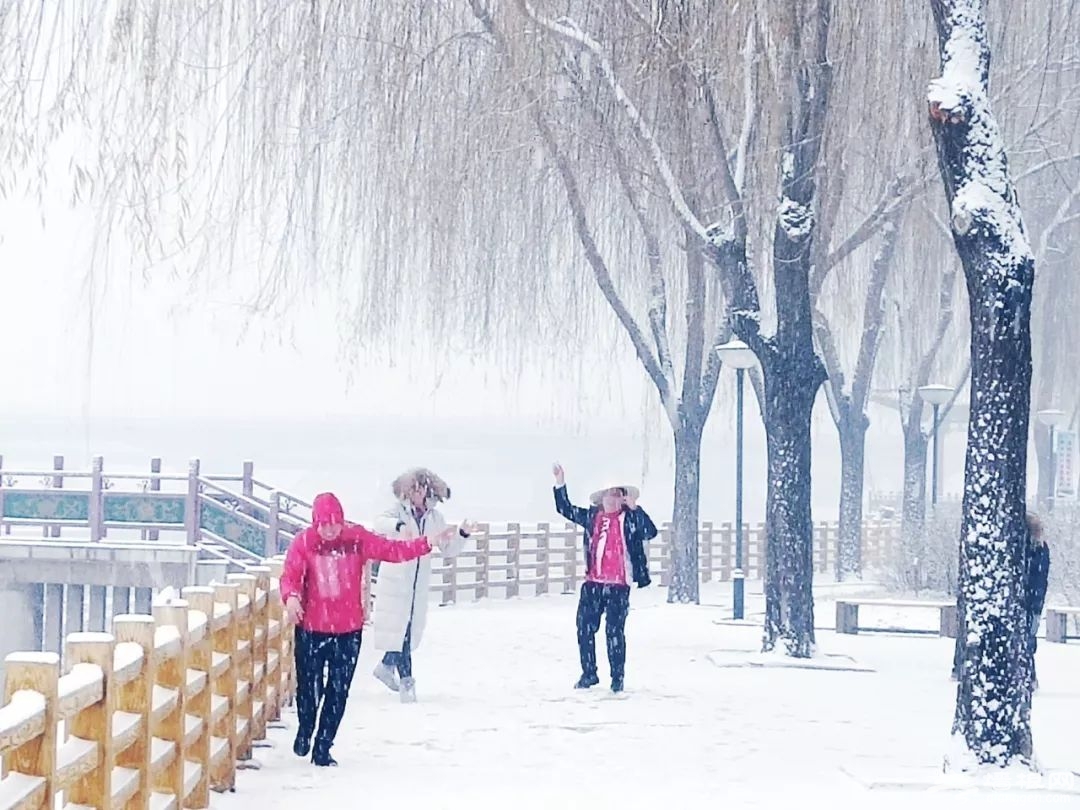 赏雪只知道去故宫？看看京郊雪景有多美！丝毫不逊色[墙根网]