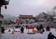 【大兴·冰雪】29.9起抢购盛世南宫冰雪嘉年华儿童票、成人票