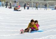【西城区冰雪】西城陶然亭公园 仅需39元抢购陶然亭冰雪嘉年华门票：门票1张+企鹅观赏区+冰迷宫+科普长廊+小秋千+儿童跷跷板...不含公园门票【无需预约】有效期至2月13日