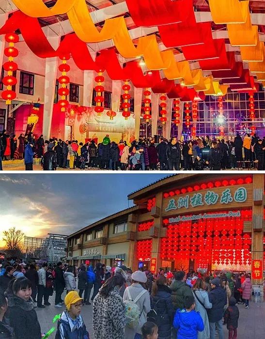 2020第三届北京南宫新春赏灯游园夜开幕[墙根网]