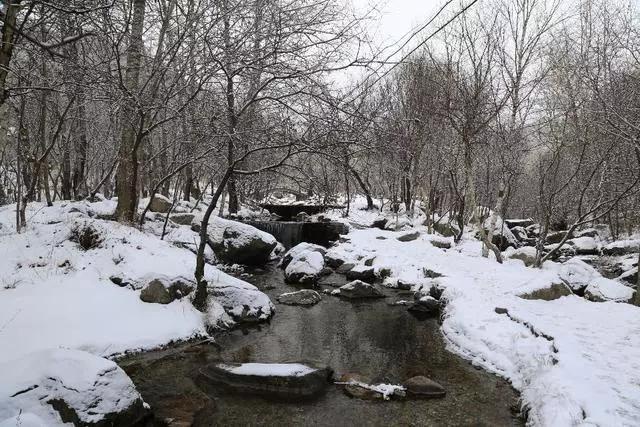 北京雪乡，激情冬奥！玉渡山第三届冰雪世界邀您来体验！[墙根网]