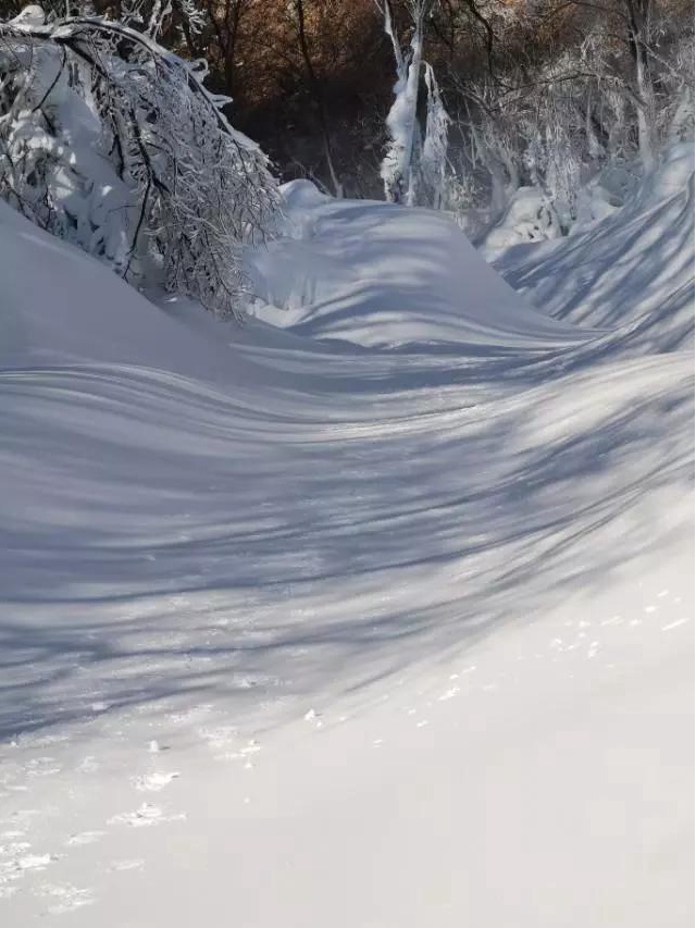 北京雪乡，激情冬奥！玉渡山第三届冰雪世界邀您来体验！[墙根网]