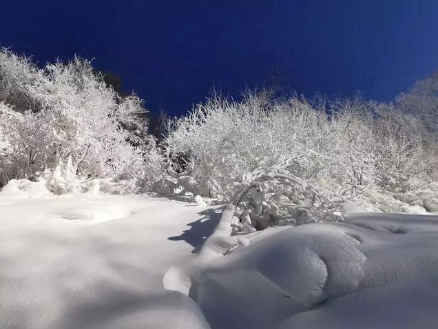 北京雪乡，激情冬奥！玉渡山第三届冰雪世界邀您来体验！[墙根网]