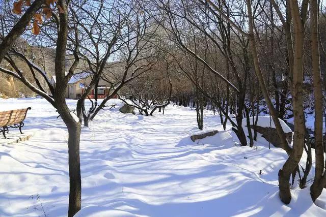 北京雪乡，激情冬奥！玉渡山第三届冰雪世界邀您来体验！[墙根网]