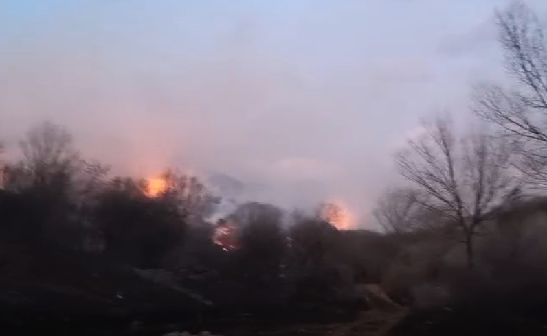 北京延庆森林火灾最新进展：火势得到控制，目前已无明火[墙根网]