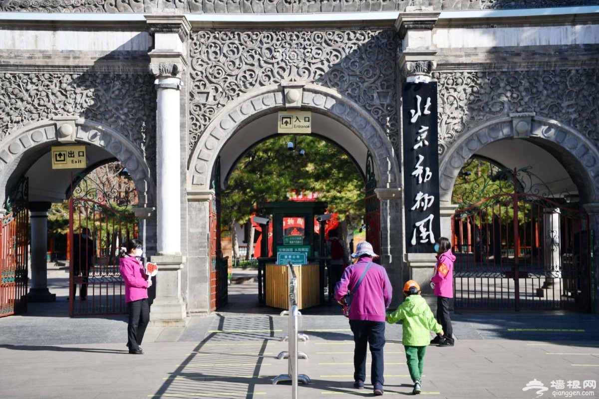 闭园58天后北京动物园今起迎客，小动物们还好吗？[墙根网]