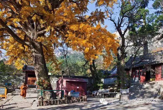 凤凰岭游览线路及沿途景点介绍[墙根网]