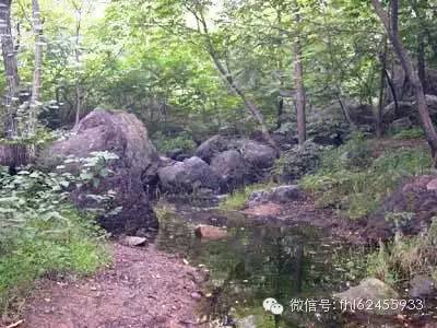 凤凰岭游览线路及沿途景点介绍[墙根网]