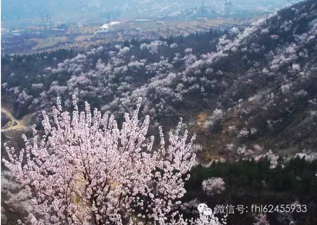 凤凰岭游览线路及沿途景点介绍[墙根网]