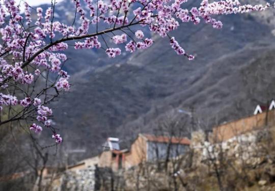 向往的生活——京郊深山里的绝美民俗村