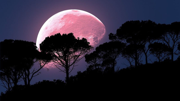 请定好您的闹钟，明天，“粉红色”的超级月亮即将来临！[墙根网]