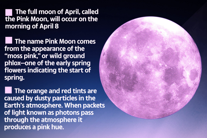 请定好您的闹钟，明天，“粉红色”的超级月亮即将来临！[墙根网]