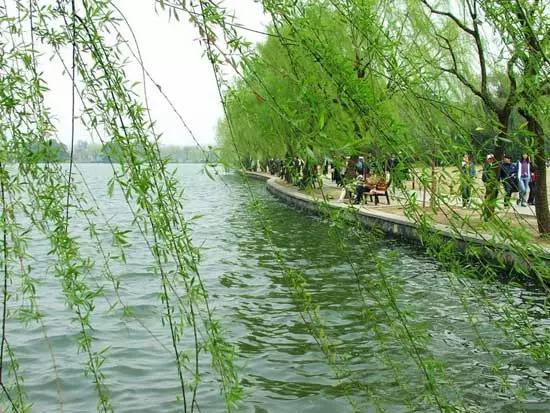 不老湖、野鸭湖已开放，不用出远门,大北京美丽的湖光山色多得是![墙根网]