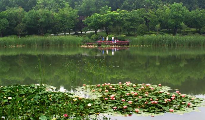 不老湖、野鸭湖已开放，不用出远门,大北京美丽的湖光山色多得是![墙根网]
