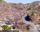 桃花娇艳，杏花如雪，北京这条梦幻公路刷屏了！