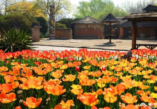 北京世界公园、居庸关长城等景区恢复开放及锦绣江山年票延期接待通知