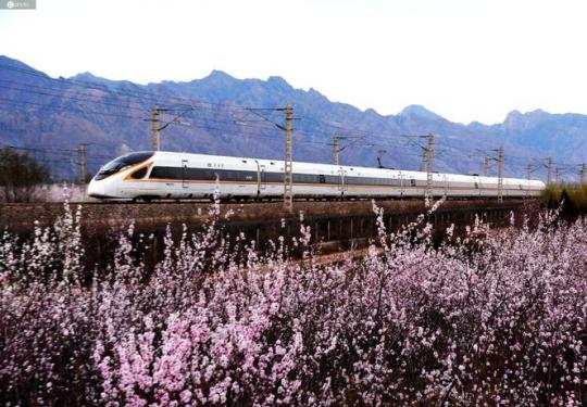 京呼高铁复兴号列车飞越花海美景如画 春意盎然