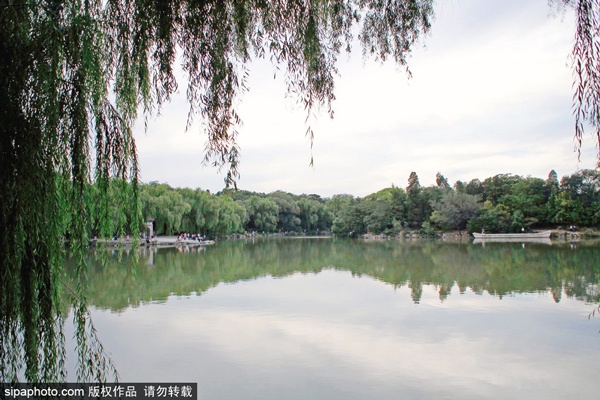 京城高校游，既赏美景又涨知识[墙根网]