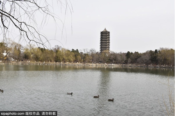京城高校游，既赏美景又涨知识[墙根网]