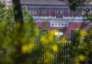 故宫何时恢复开放？最新回应来了