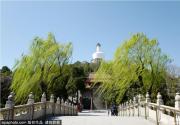 北海公园恢复开放，实行实名网络预约购票