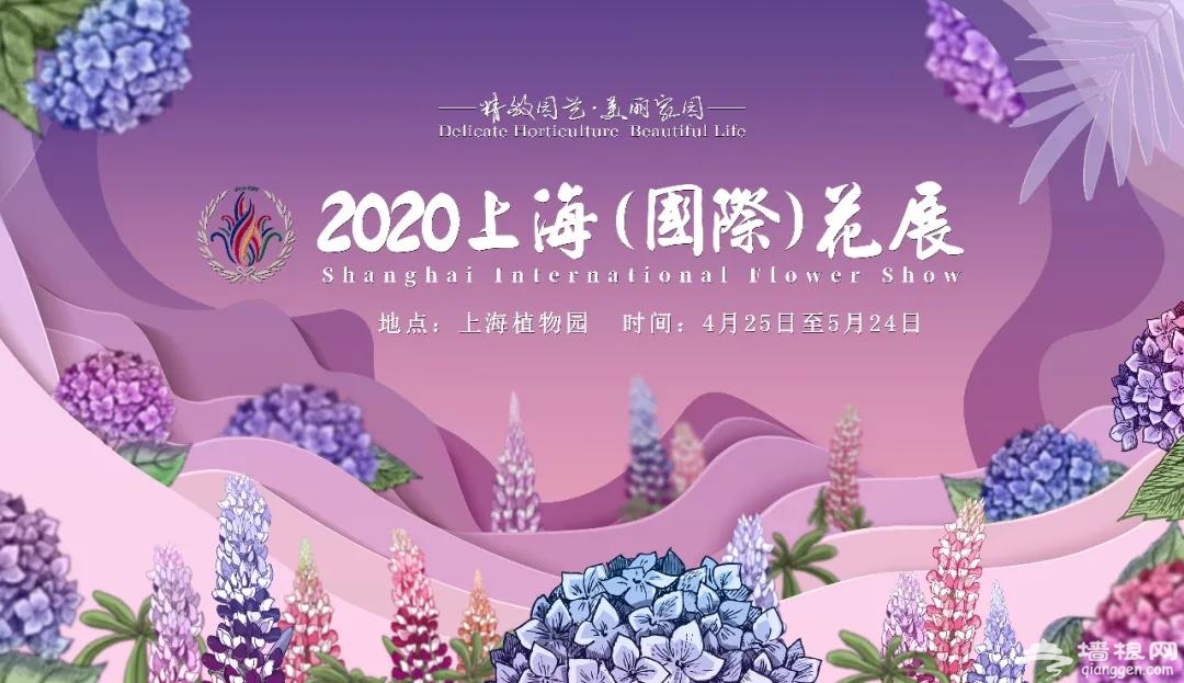 2020上海（国际）花展闪亮全场[墙根网]