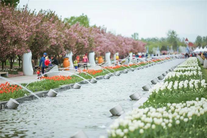开船啦！即日起北京国际鲜花港、北京奥林匹克水上公园游船正式开航！-顺义-墙根网
