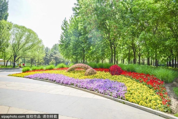  免费！北京闹市中竟藏着一个雅致小公园！湖光云影、竹林森森、百花飘香......[墙根网]