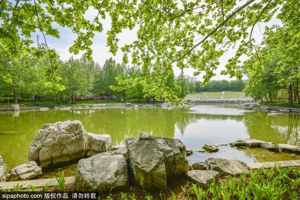  免费！北京闹市中竟藏着一个雅致小公园！湖光云影、竹林森森、百花飘香......[墙根网]