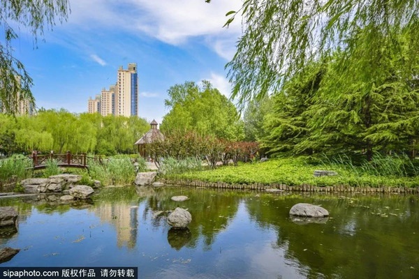  免费！北京闹市中竟藏着一个雅致小公园！湖光云影、竹林森森、百花飘香......[墙根网]