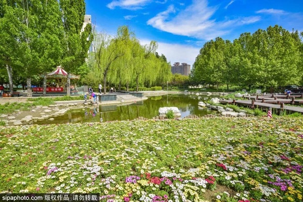  免费！北京闹市中竟藏着一个雅致小公园！湖光云影、竹林森森、百花飘香......[墙根网]