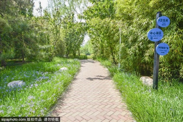  免费！北京闹市中竟藏着一个雅致小公园！湖光云影、竹林森森、百花飘香......[墙根网]