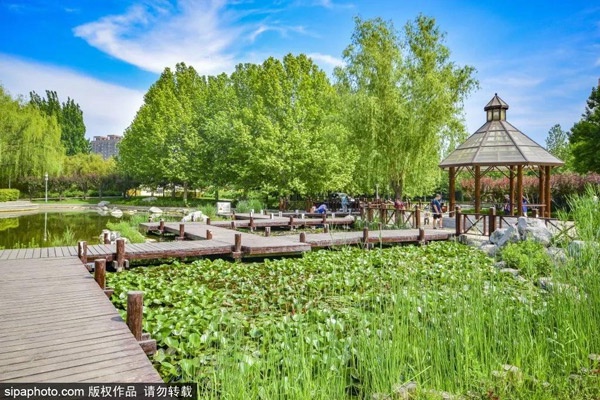  免费！北京闹市中竟藏着一个雅致小公园！湖光云影、竹林森森、百花飘香......[墙根网]