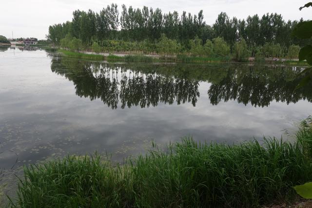 永定河补水，盘点北京受益最大的几个湿地，人少景美还适合野餐[墙根网]