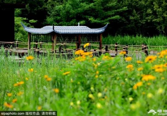 北京这个低调神秘的大公园终于开放了！免费人少、鸟语花香，现实版的世外桃源！