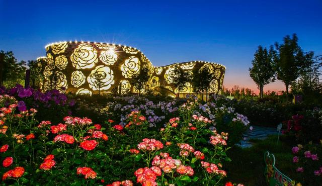 2020北京月季文化节在大兴开幕 精彩将持续一个月