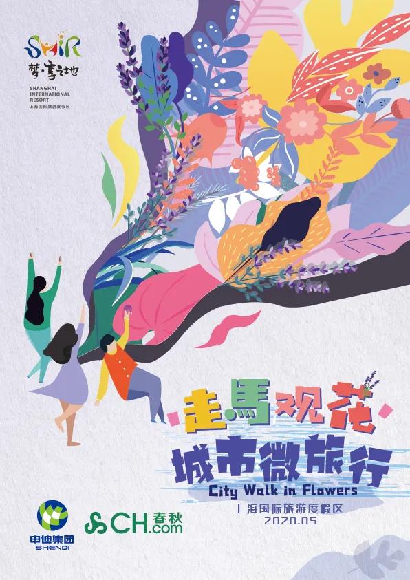 2020第四届上海薰衣草节来了，快来相约“魔都普罗旺斯”[墙根网]
