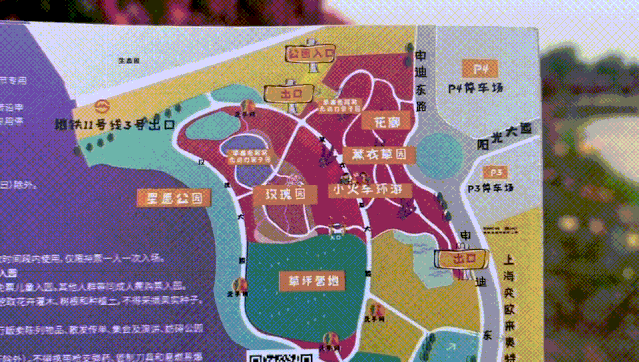 2020第四届上海薰衣草节来了，快来相约“魔都普罗旺斯”[墙根网]