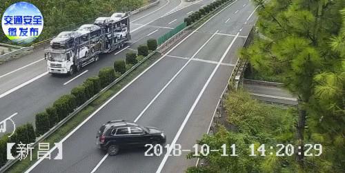 后排也要系安全带了？官方回应来了[墙根网]