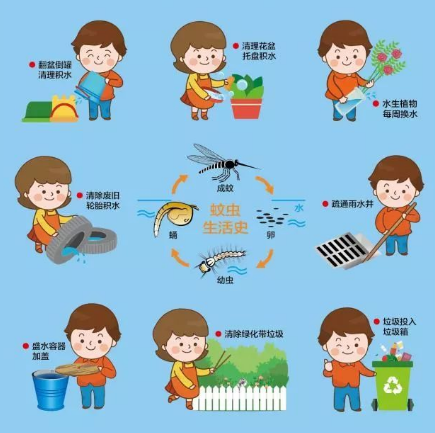 6月22日北京启动统一灭蚊活动，疾控部门发出提醒