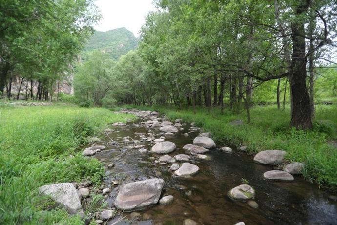 北京最野河道将建露营基地！河堤是土坡，过河架木桥[墙根网]