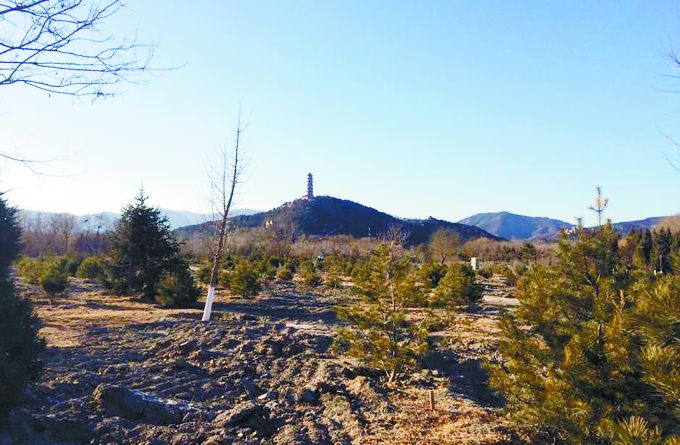 北京西郊历史文化保护区园外园景观提升，8处山水田园托起“三山五园”[墙根网]