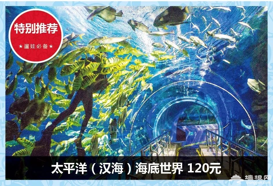 99元青春版游览年票（亲子年票青春版）景区名录[墙根网]