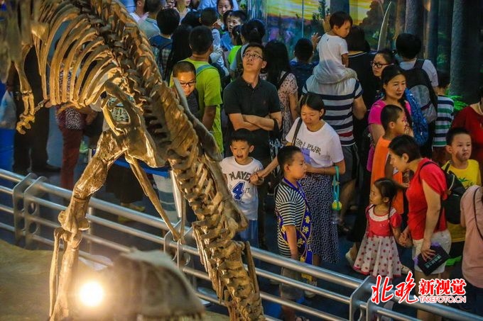 北京自然博物馆将启动夜间参观活动，8月20日开始预约[墙根网]