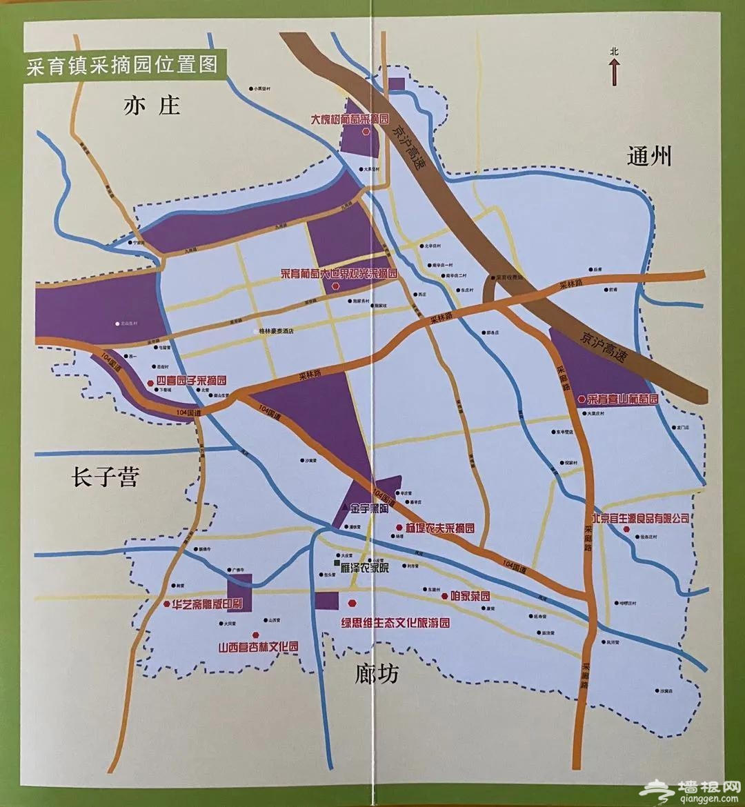  “京南吐鲁番”的万亩葡萄已熟，可以来采摘了！[墙根网]