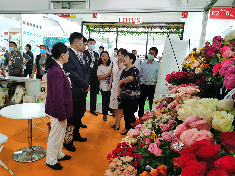 2020年9月16日第二十二届中国国际花卉园艺展览在京开幕[墙根网]