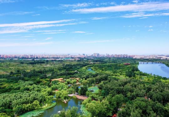 北京城市绿心森林公园9月29日开园，周边新规划两条公交线