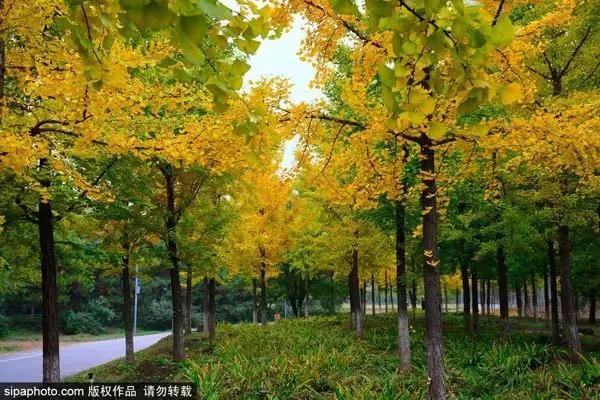 10月北京最佳小众旅行地！惊艳了整个秋季[墙根网]