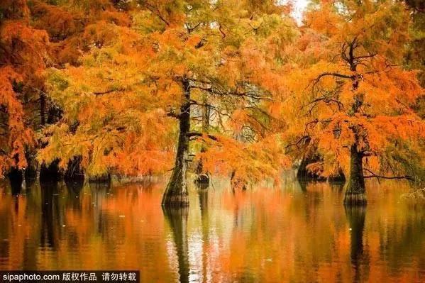 10月北京最佳小众旅行地！惊艳了整个秋季[墙根网]