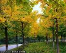 10月北京最佳小众旅行地！惊艳了整个秋季